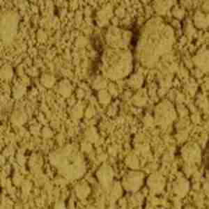 Barberry Root Powder