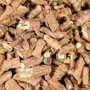 Bupleurum Root Cut