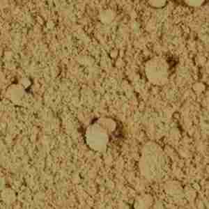 Burdock Root (Powder)