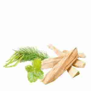 Sandalwood Patchouli Pine Scotch