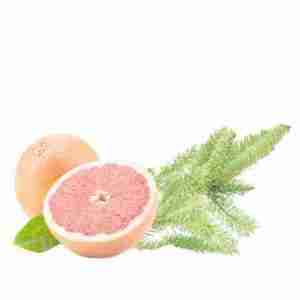 Spruce Grapefruit