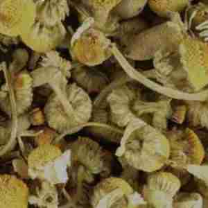 Dried Chamomile Flower