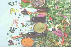 Shop by Health & Lifestyle Need