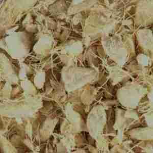 Ginger Root Cut