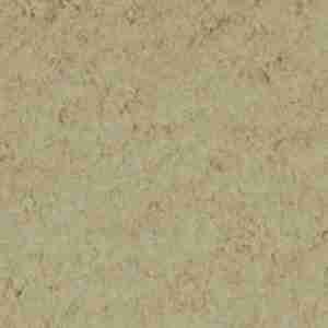 Ginseng Root Powder