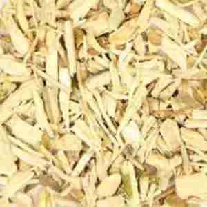 Hydrangea Root Cut