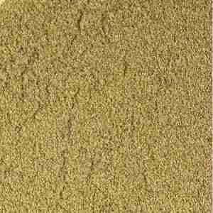 Kelp (Powder)