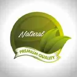 View All Products