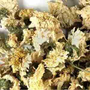 Chrysanthemum Flower (Whole)