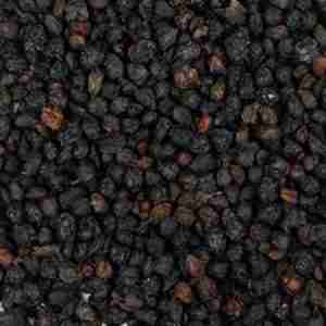 Elderberry Whole