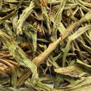 Mexican Marigold Leaf cut