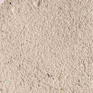 Oyster Shell Extract Powder