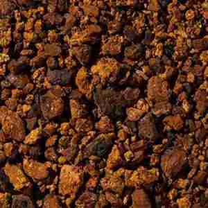 Chaga Mushroom cut pieces