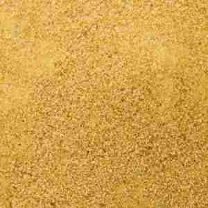 Pumpkin Powder