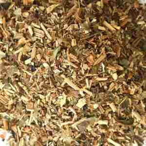 Wild Lettuce Cut Leaf Herb