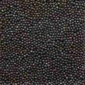Black Mustard Seeds