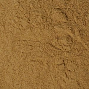 Fig Powder