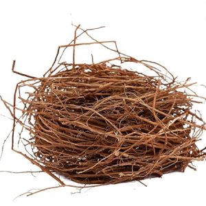 Vetiver Root
